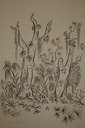 Florida Jungle (Watercolor) 1940-50's