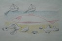 Red fish (Pen & Ink ) 1950