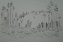 Rider in the Hills (Felt Pen) 1957-59
