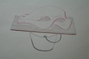 Shell on Pail Still Life (Pen & Ink) 1940-50's